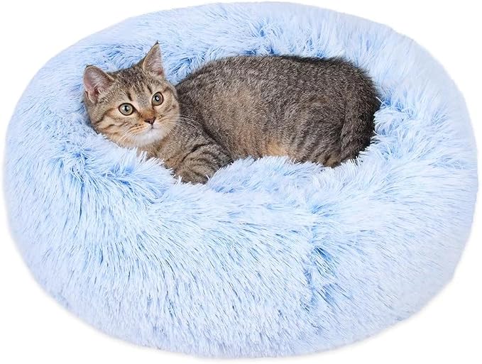 Cat Beds for Indoor Cats by Unknown