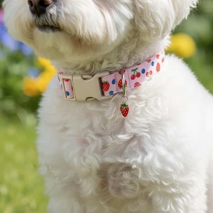 Pink Dog Collar, Female Dog Collar - Image 5