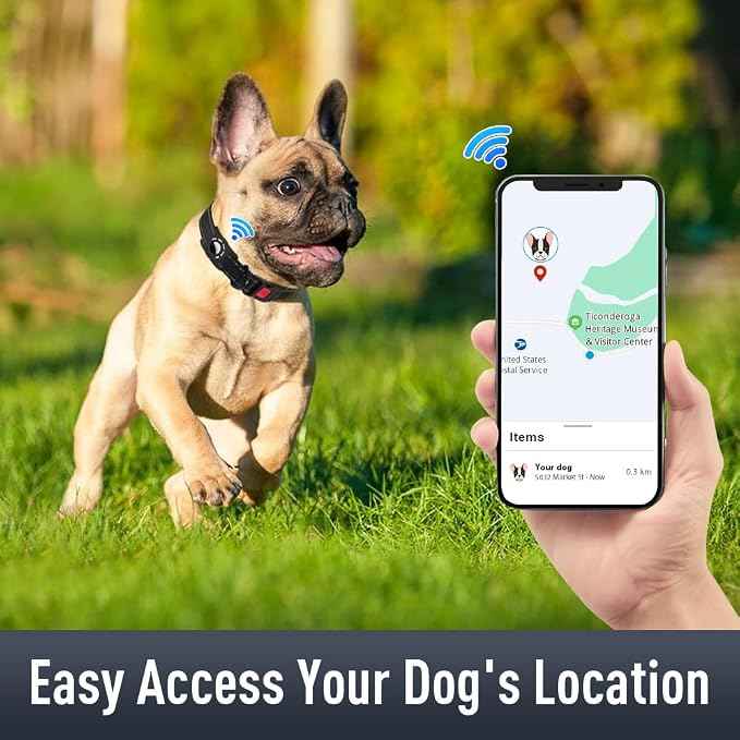 Airtag Dog Collar with AirTag Holder