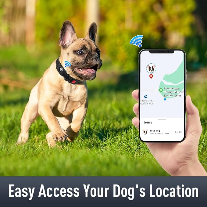 Airtag Dog Collar with AirTag Holder - Image 2