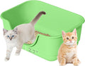 Low Entry Small Litter Box for Kittens, Kitty Plastic Litter Boxes, Open Top by Unknown