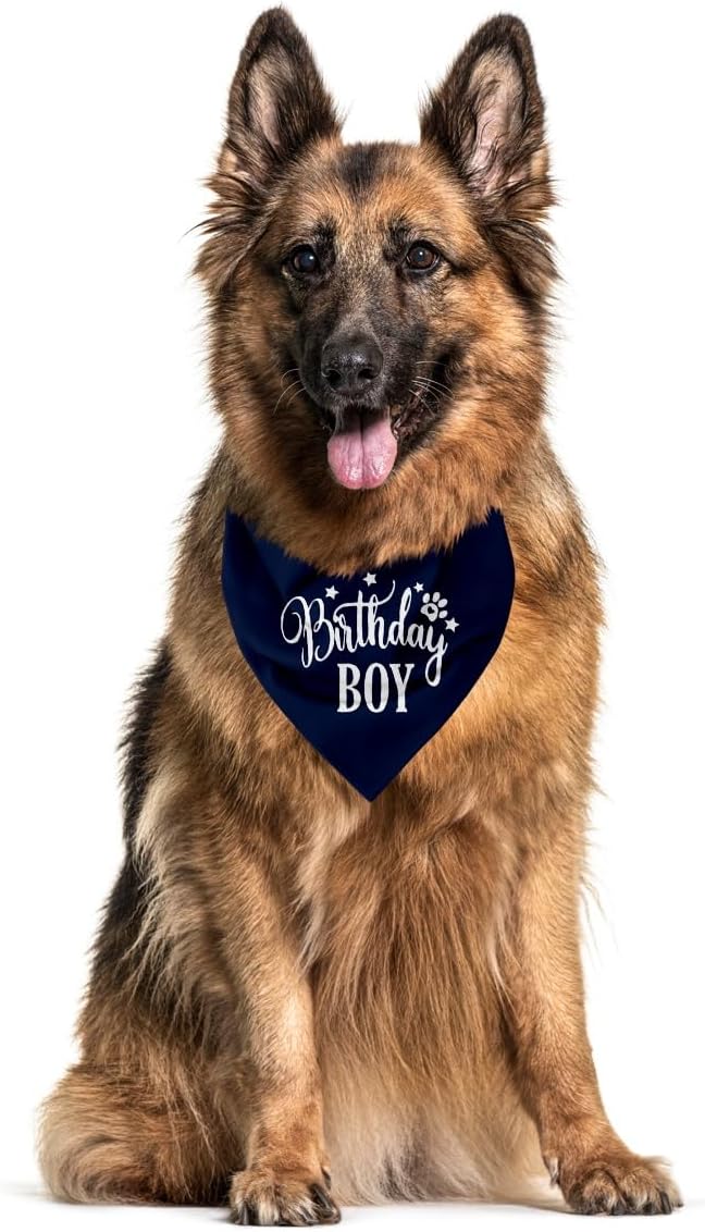 Happy Birthday Dog Bandana, Dog Bandana - Image 3