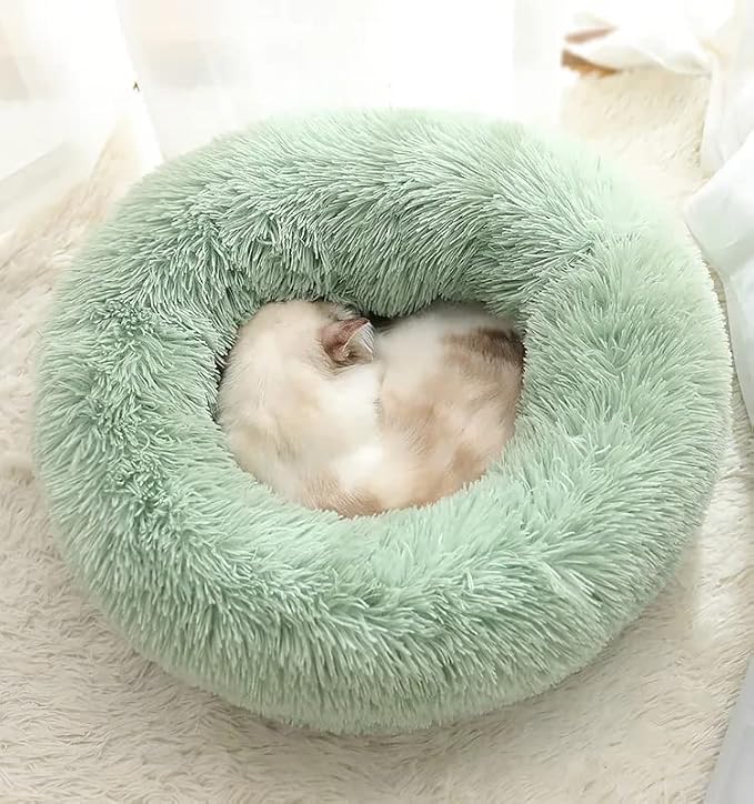 Cat Beds for Indoor Cats - Image 2