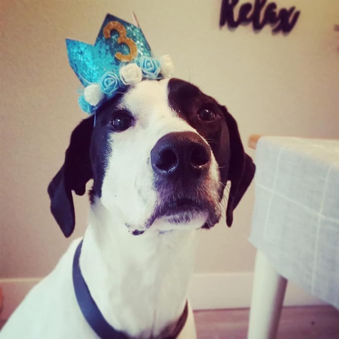 Pet Crown Hat Dog Birthday Reusable Birthday Party Crown - Image 4