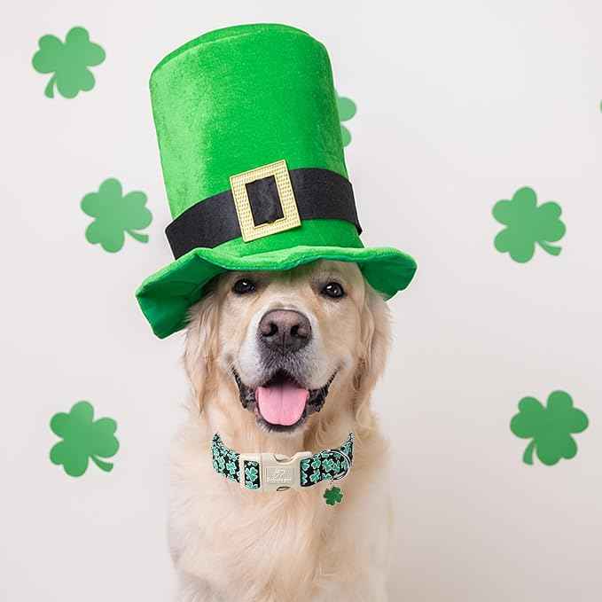 St Patricks Day Dog Collar for Medium Dogs
