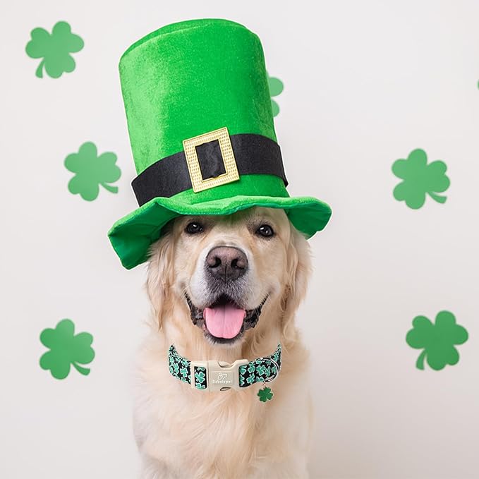St Patricks Day Dog Collar for Small Dogs - Image 4