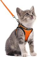 rabbitgoo Cat Harness and Leash Set by rabbitgoo