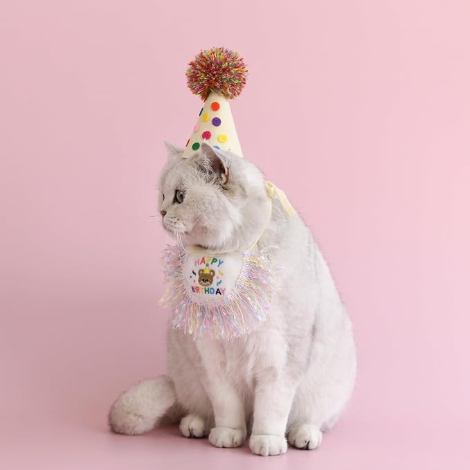 Cat Birthday Bandana Scarf and Party Hat Cute Tassels Bib Scarf and Birthday - Image 6