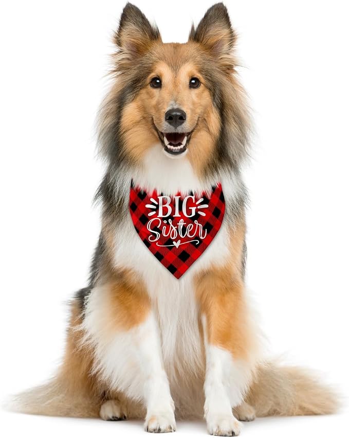 Big Sister Buffalo Plaid Plaid Plaid Blue Camo Pet Scarf Dog Bandana - Image 2