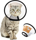 Plastic Pet Recovery Collars & Cones by QIYADIN