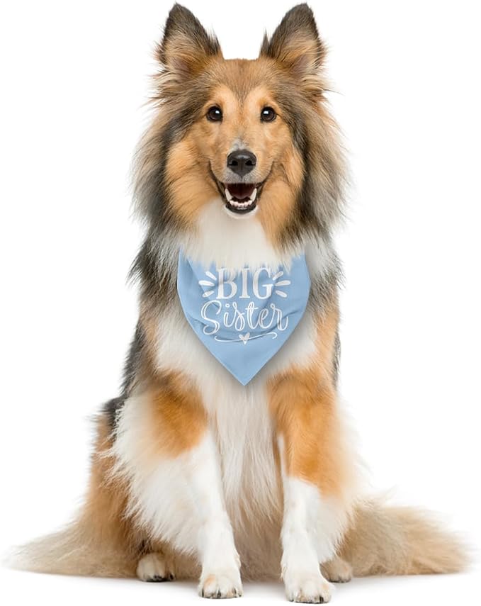Big Sister Dog Bandanas, Light Blue Pet Scarf Accessories, Pet Triangle Scarf - Image 4