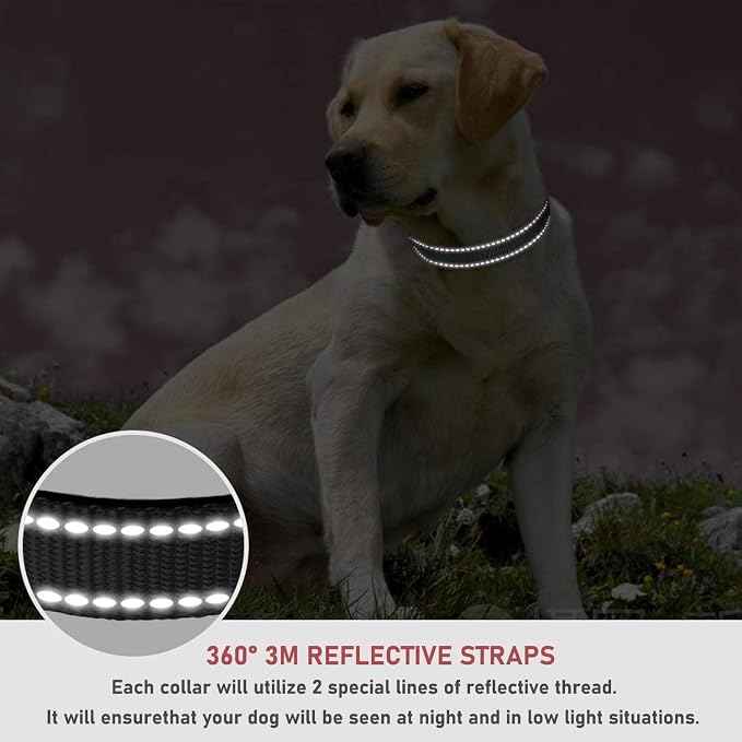 Reflective Dog Collar with Buckle Adjustable Safety Nylon Collars