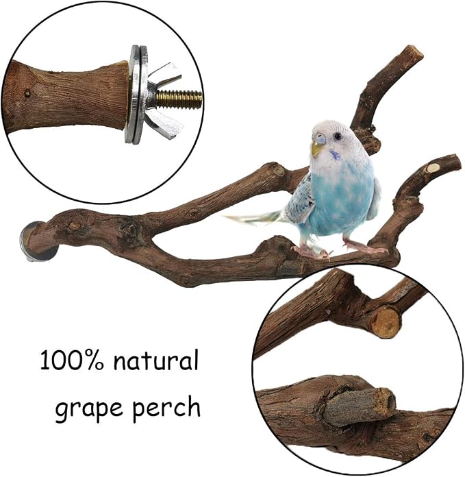 PINVNBY Natural Parrot Perch Bird Stand Pole Wild Grape Stick Paw Grinding Fork - Image 2