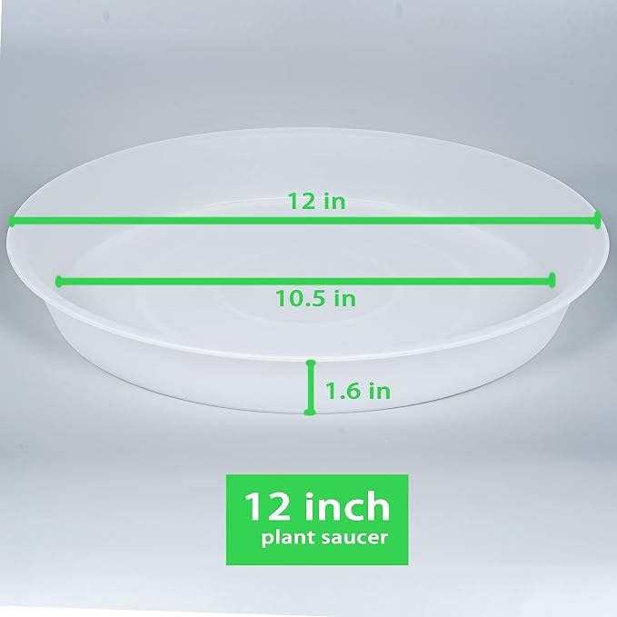 6 Pack of 12 inch Plant Saucer Clear, Heavy Duty Plastic Plant Saucer 12 inch - Image 2