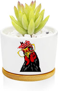 Window Garden Rooster Planter Pots, Rooster Gifts by Databa