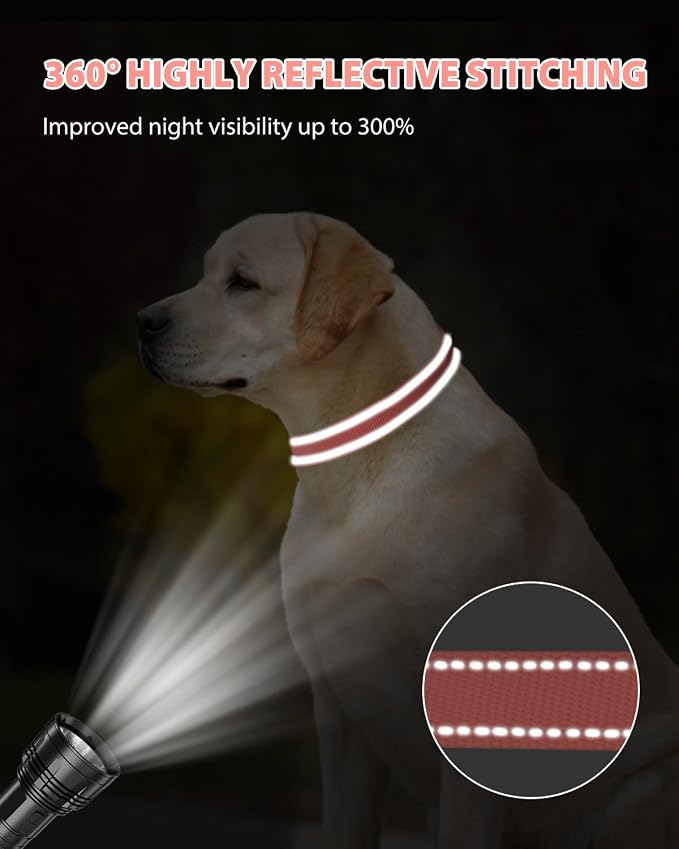 Joytale Reflective Dog Collar, Adjustable Nylon Pet Collar - Image 5