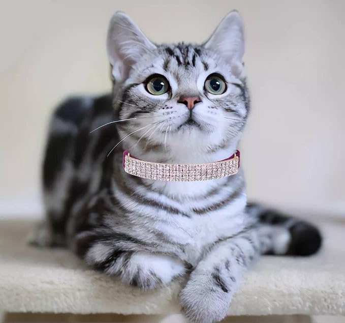 THAIN Rhinestones Cat Dog Collar Soft Velvet Safe Adjustable Collar Bling - Image 5