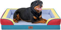 Comfort Expression Orthopedic Dog Bed by ComfortExpression