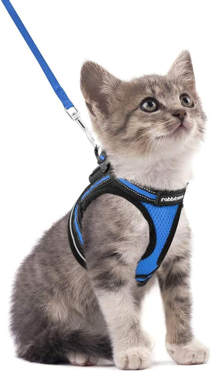 rabbitgoo Cat Harness and Leash Set by rabbitgoo