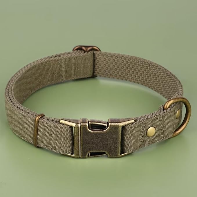 PET ARTIST Dog Collars for Medium Dogs, Soft Padded Premium Nylon Dog Collar - Image 3