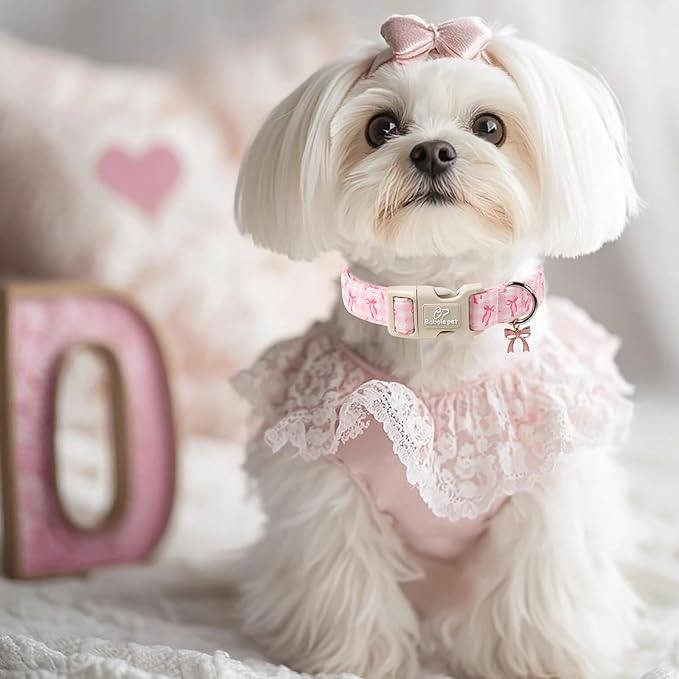 Girl Dog Collar for Small Dogs - Image 7