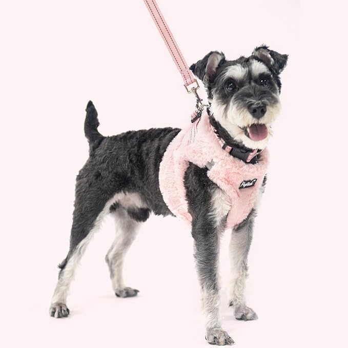 PUPTECK Adjustable Dog Harness Collar and Leash Set Step in No Pull Pet Harness - Image 6