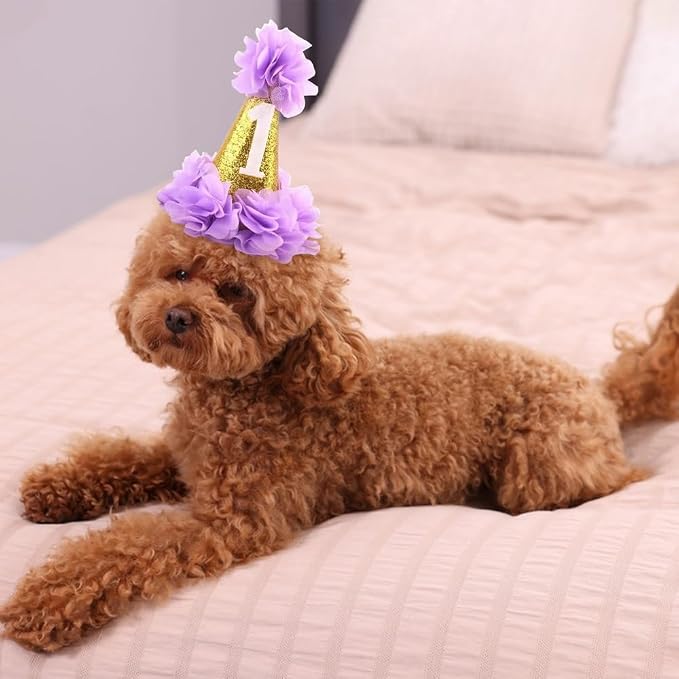 Stock Show 1st Pet Birthday Cone Hat Dogs Cats Holiday Party Hat Headwear - Image 4