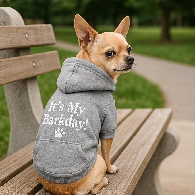 Godmerch Custom Embroidered Dog Hoodie, Embroidery Dog Sweaters - Image 2