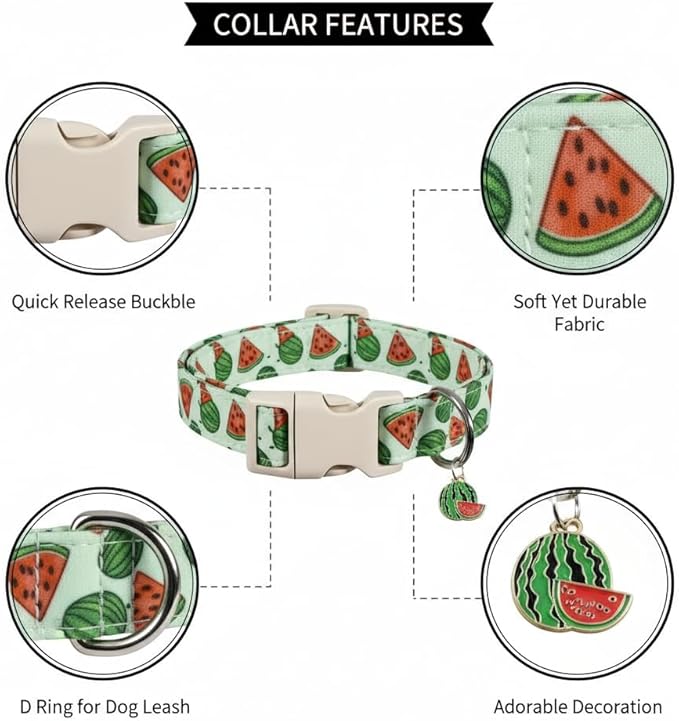 Summer Dog Collar for Medium Dogs, Cute Dog Collar - Image 2