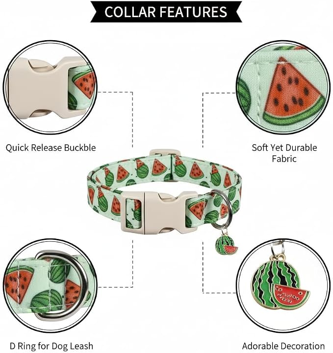 Dog Collar for Small Dogs, Summer Dog Collar - Image 2