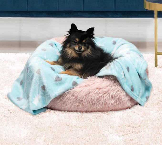 Juicy Couture Plush Flannel Pet Throw Blanket, Turquoise Juicy Scottie Hearts - Image 2