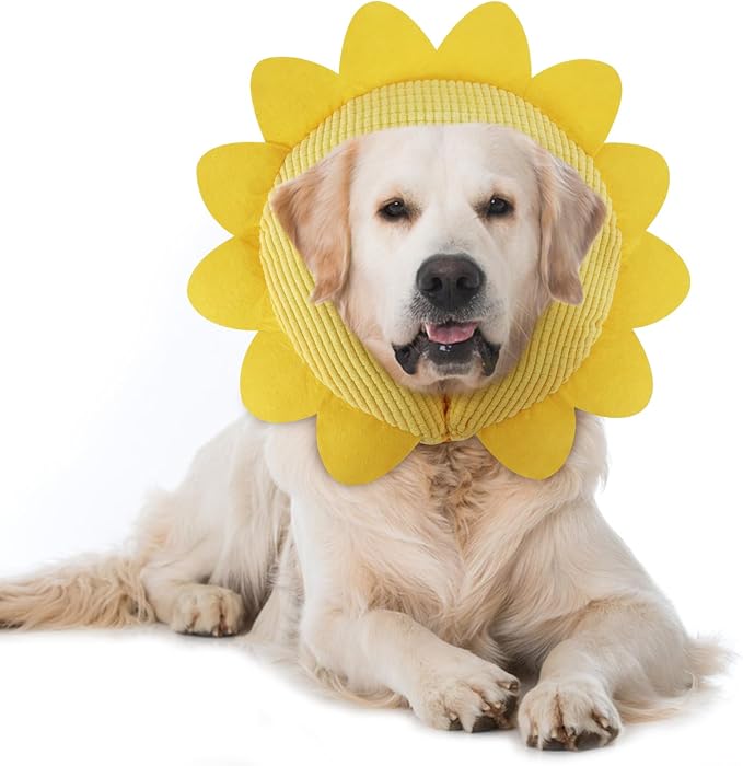IEUUMLER Inflatable Recovery Dog Collar, Protective Donut Cone, Adjustable Soft by IEUUMLER