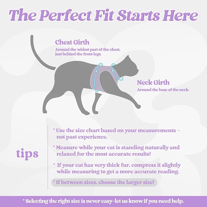 rabbitgoo Cat Harness and Leash Set - Image 2