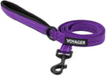 Best Pet Supplies Voyager Reflective Dog Leash or Collar by BestPetSuppliesLLC