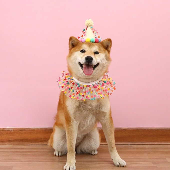 Cat Dog Princess Costumes Puppy Cat Birthday Bandana Scarf and Party Hat Cute - Image 3