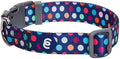 Blueberry Pet Essentials Rainbow Polka Dots Adjustable Dog Collar, Neck 12"-16" by BlueberryPet