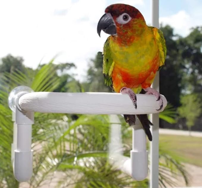 Bird Parrot Shower Perch (Small Round - Image 4