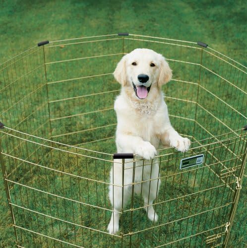 MidWest Homes for Pets Folding Metal Puppy / Dog Exercise Pen, Indoor/Outdoor - Image 3