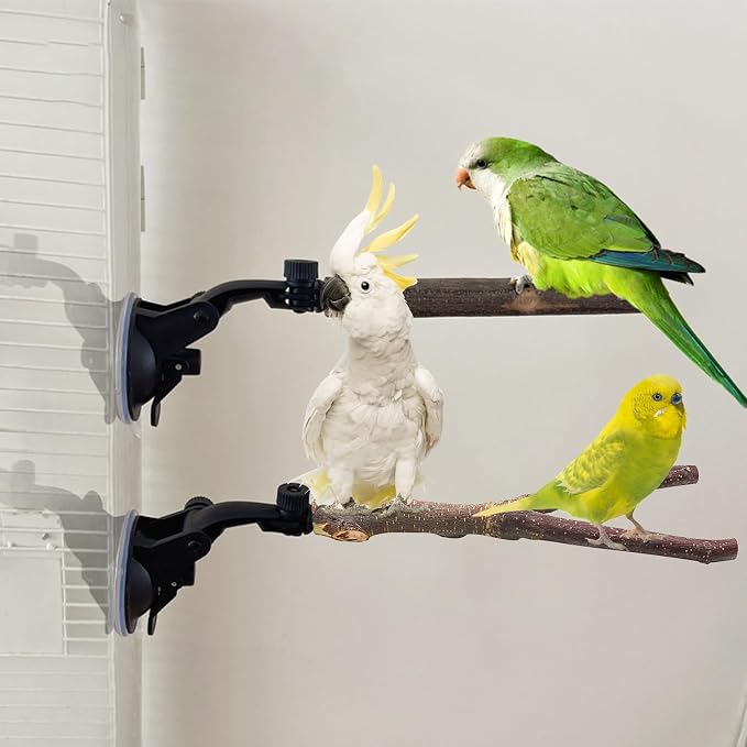 Natural Wood Bird Perch Stand - Image 7