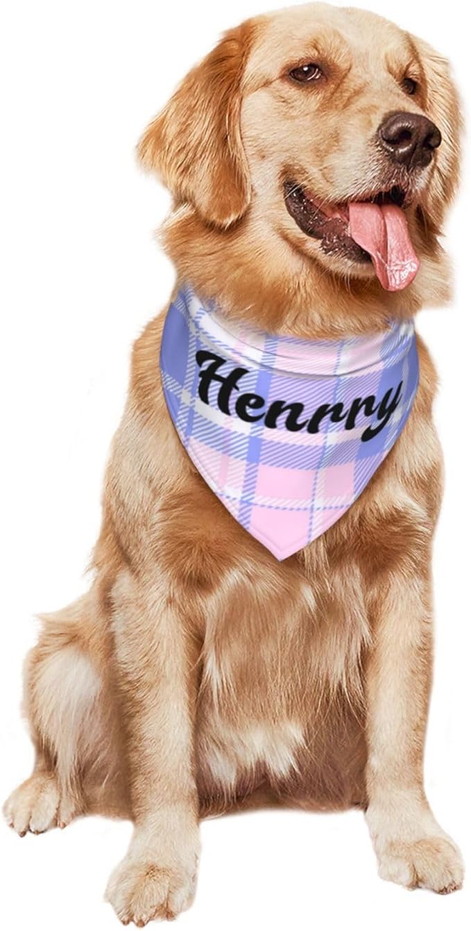 Custom Pet Scarf Personalized Dog Bandana - Image 9
