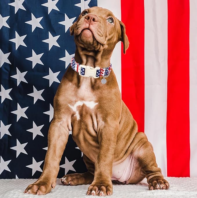DOGWONG Cotton Dog Collar, Patriotic Dog Collar Durable Soft Natural Fabric Pet - Image 4