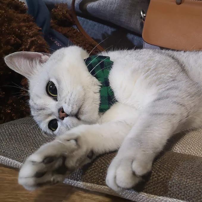 Cat Collar Breakaway with Bell and Bow Tie, Plaid Design Adjustable Safety - Image 4