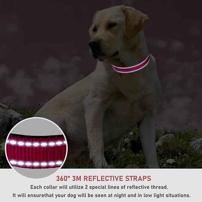 Reflective Dog Collar with Buckle Adjustable Safety Nylon Collars