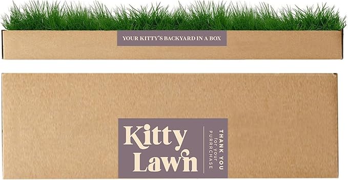 Kitty Lawn Real Grass Cat Window Perch - Image 2