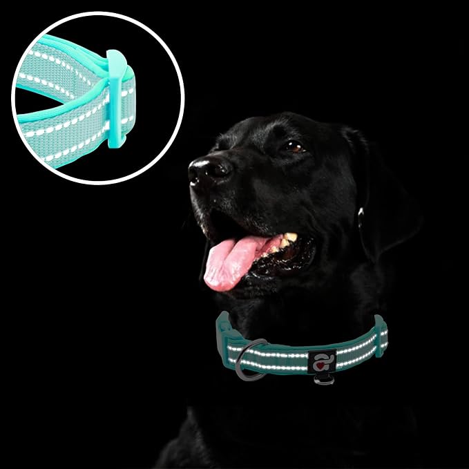 azuza Reflective Dog Collar, Soft Neoprene Padded Pet Collar - Image 4