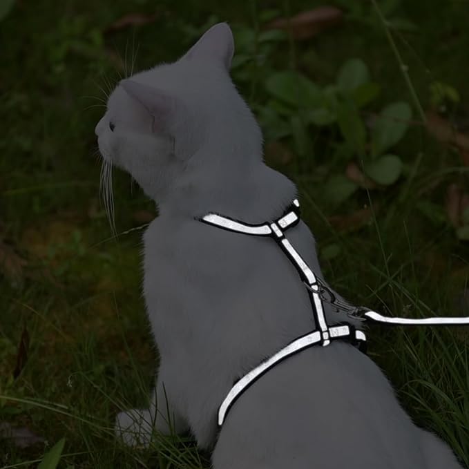 KOOLTAIL Cat Harness and Leash Set, Escape Proof Adjustable Kitten Harness - Image 6