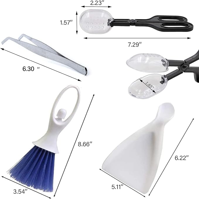 Tiny Cleanning Broom, Scooper Feeding Tool, Mini Dustpan and Brush, Stainless - Image 6