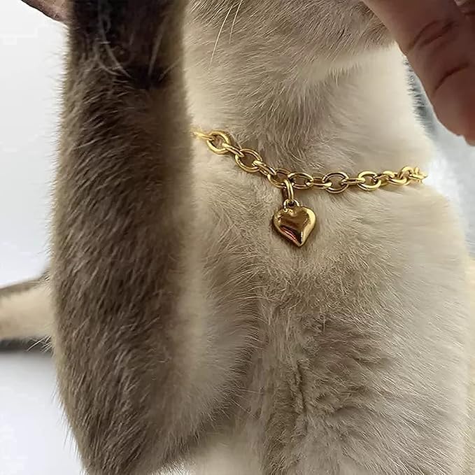 HOWWFALY Dog Collar and Cat Chain Necklace Stainless Steel Adjustable 18K Gold - Image 7