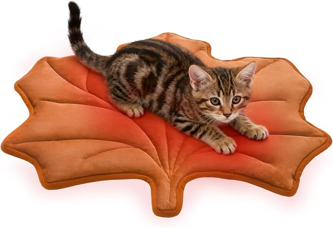 KOOLTAIL Self Warming Cat Bed Mat by KOOLTAIL