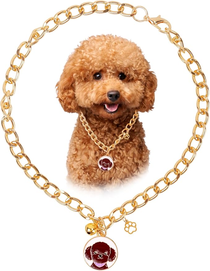 HOWWFALY Dog Collar and Cat Chain Necklace Stainless Steel Adjustable 18K Gold by HOWWFALY